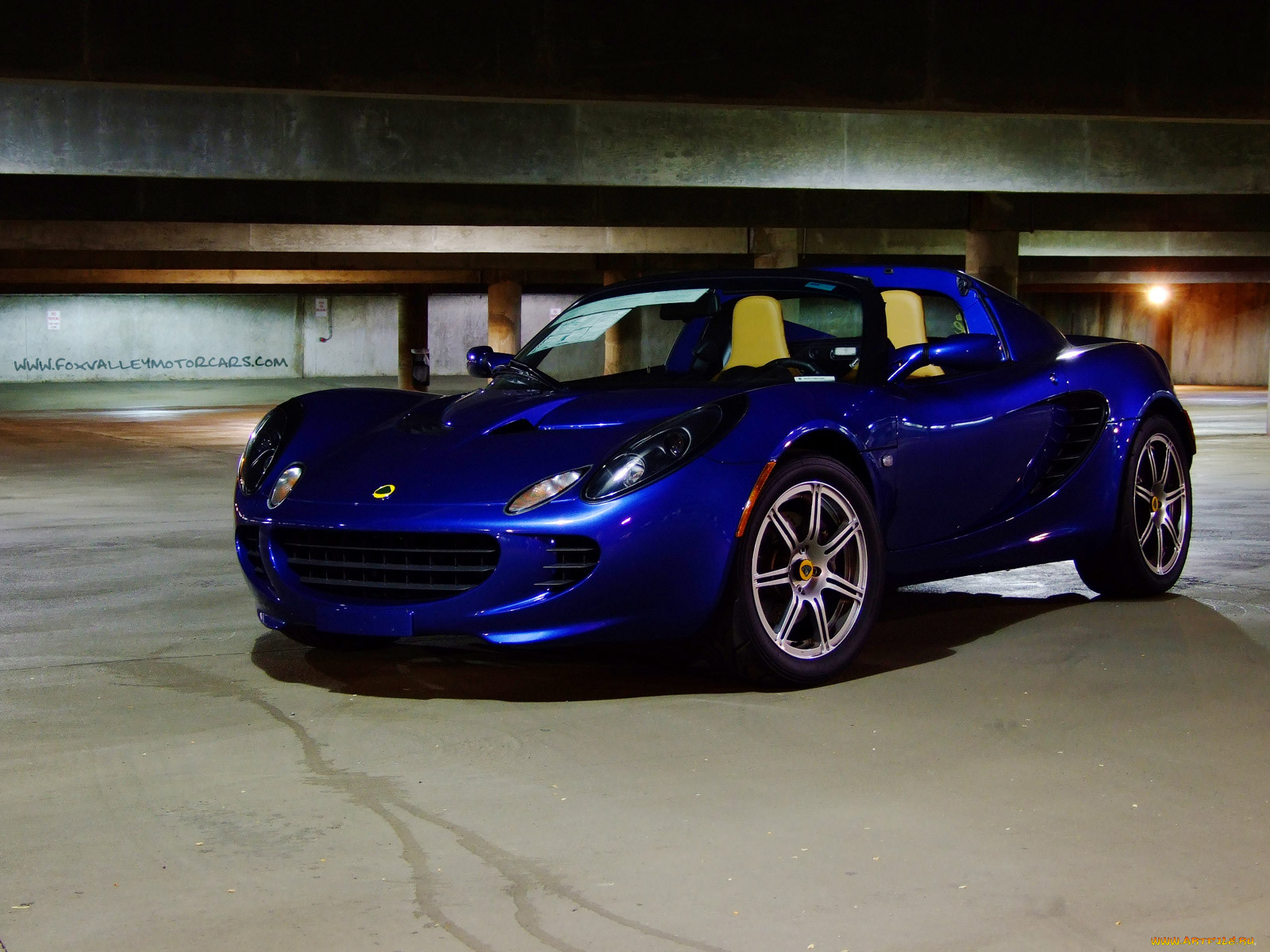 , lotus